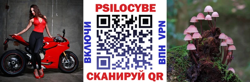 Галлюциногенные грибы MAGIC MUSHROOMS  Ялуторовск 